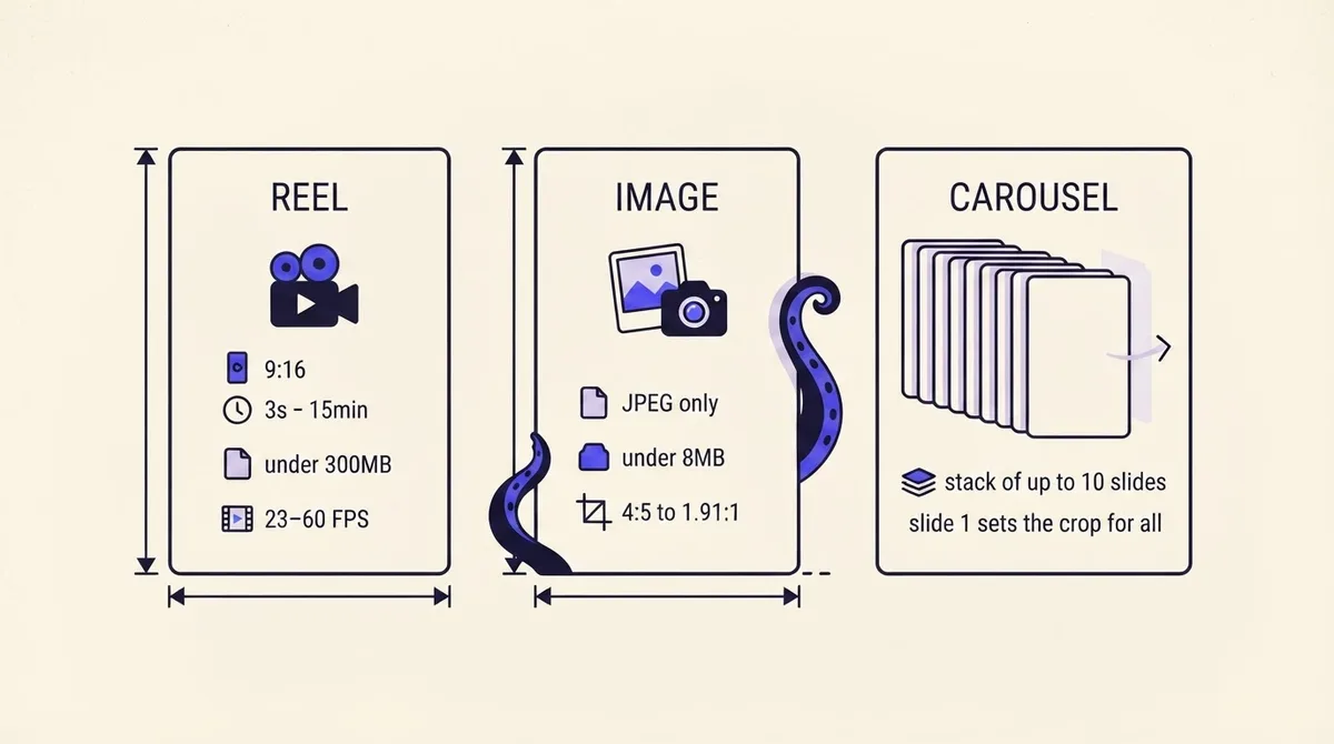 Three specification frames showing Reel, image and carousel requirements side by side