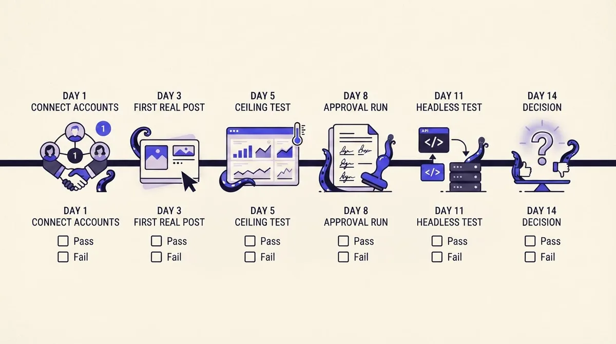 A two-week evaluation timeline with milestones at day 1, 3, 5, 8, 11 and 14, each with pass and fail checkboxes